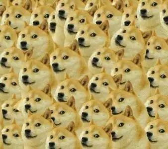 篮球放人规则_篮球的放球是什么规则的_篮球是怎么放的