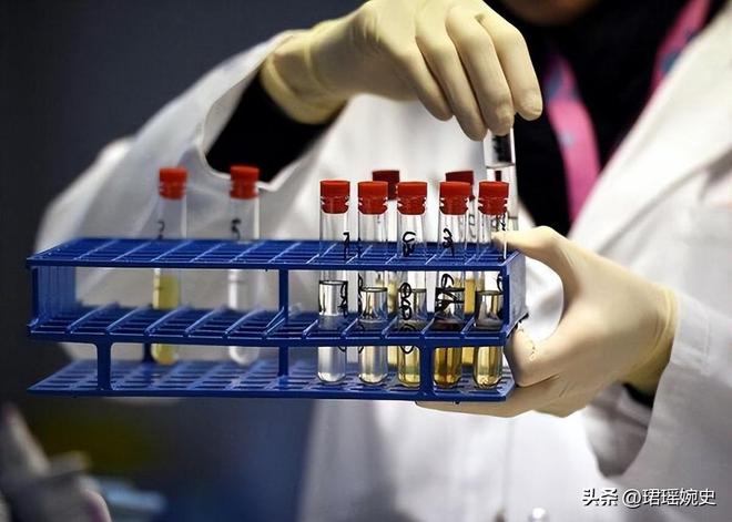 举重奥运冠军陈什么霞_举重运动员陈什么霞_奥运举重冠军陈燮霞