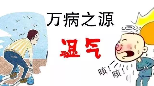 湿气是亚健康_亚健康湿气重_亚湿疹图片