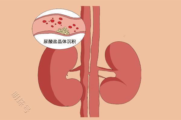 健康身体是吃出来的_健康身体是一生最大的财富_健康就是身体健康