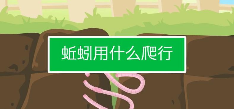 蚯蚓用什么爬行（蚯蚓爬行靠什么）